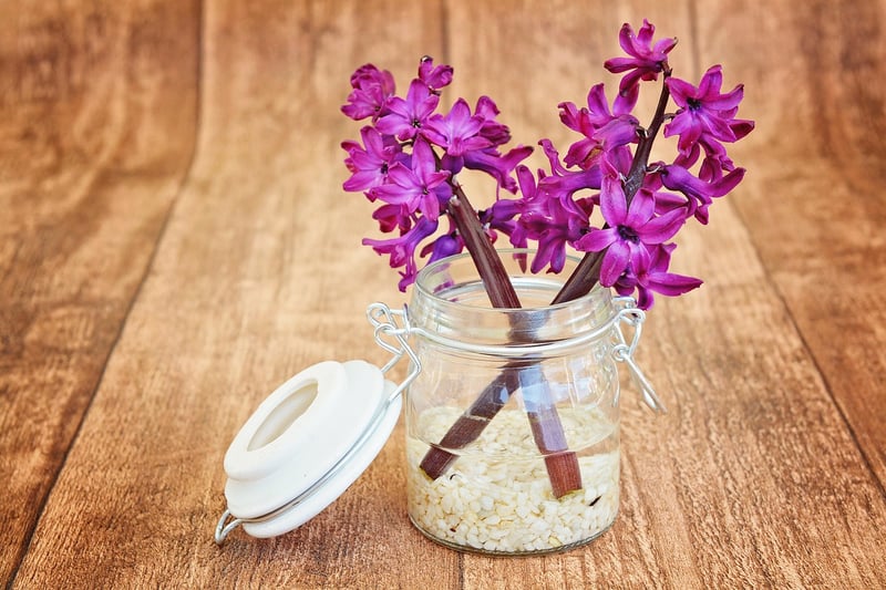 Scented Charms